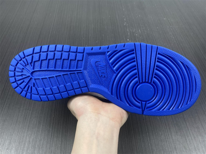 nike dunk low retro dd1391-0011